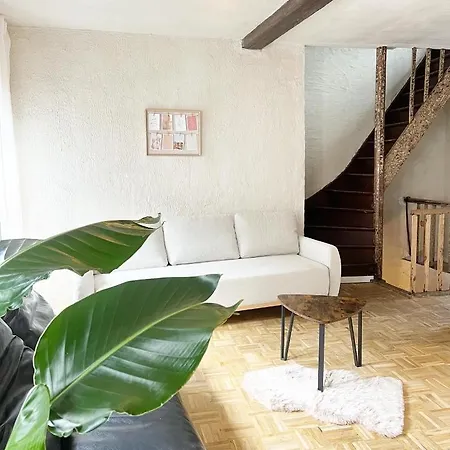 Gigi Home's Antwerp